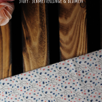 Schmetterlinge und Blumen